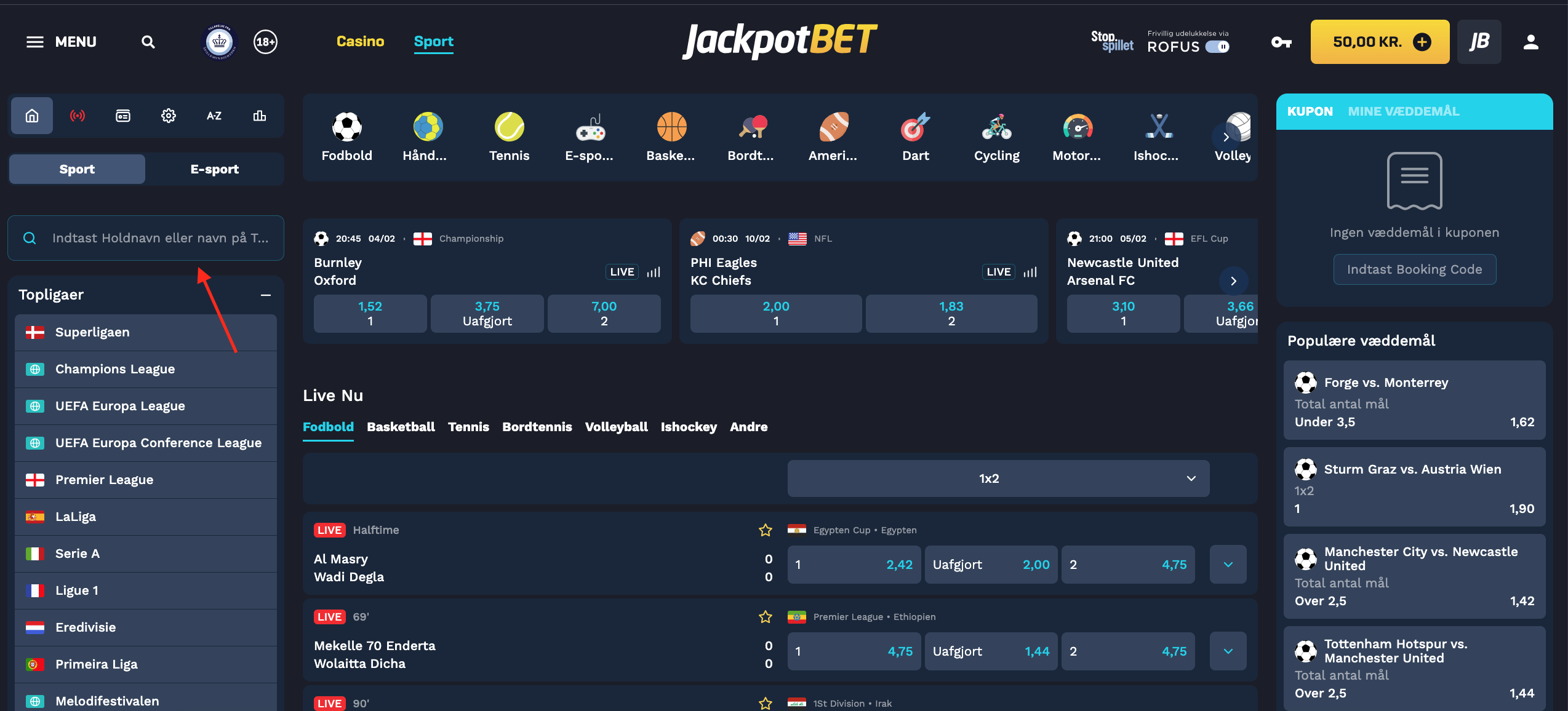 Skærmbillede 2025-02-04 kl. 14.28.21.png