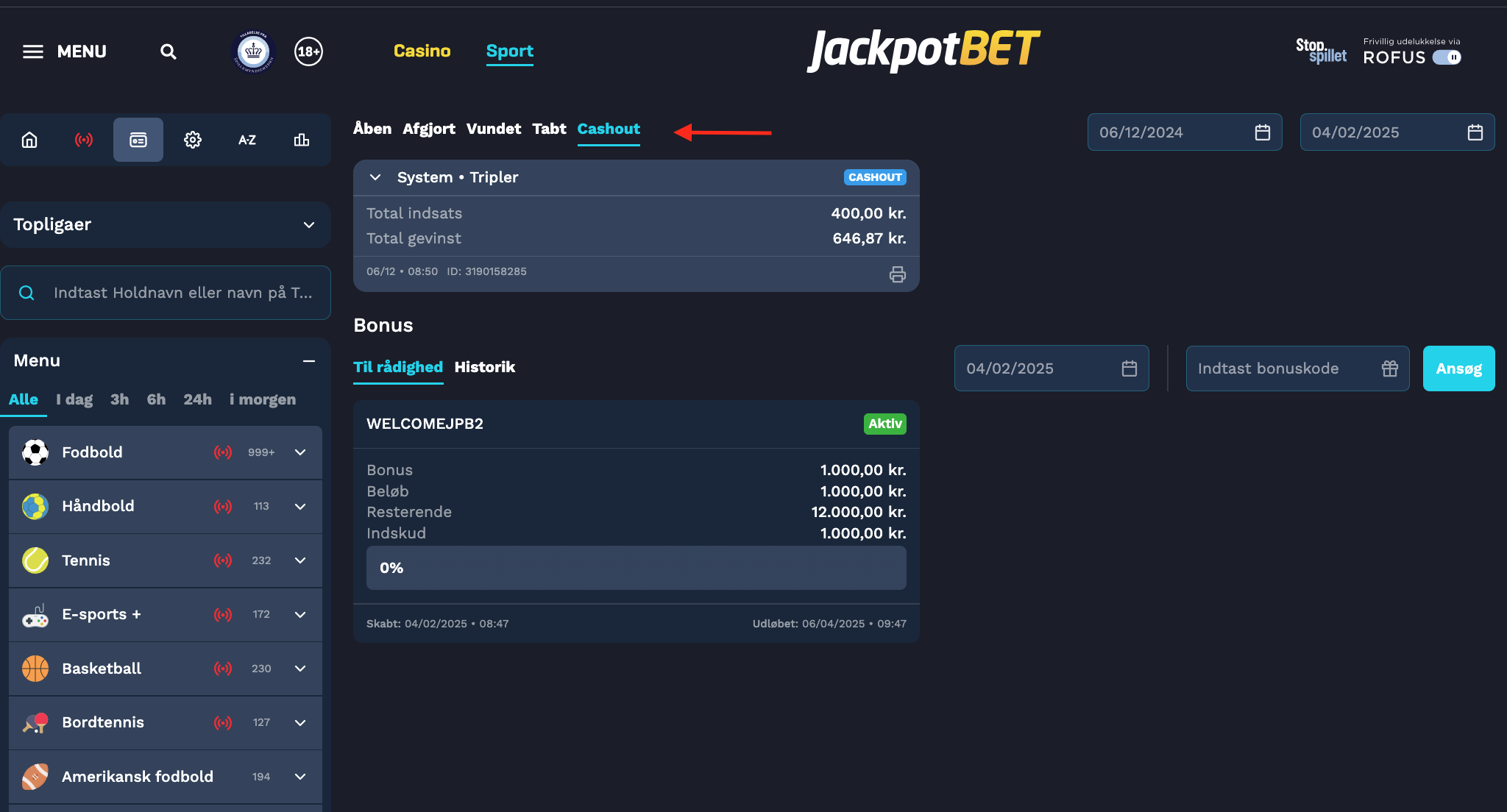 Skærmbillede 2025-02-04 kl. 15.08.08.png