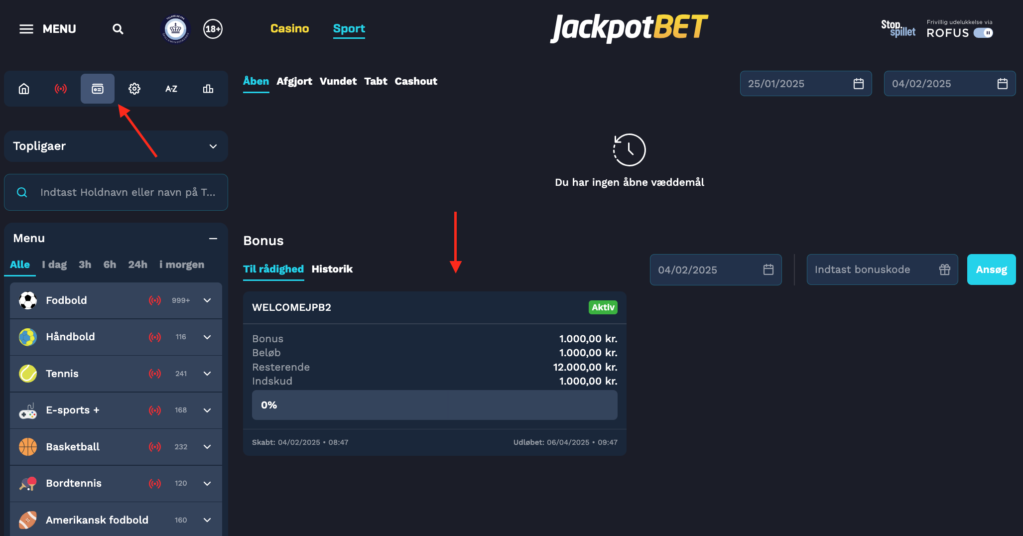 Skærmbillede 2025-02-04 kl. 15.29.15.png